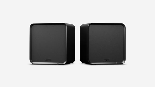 Eversolo SE100 Højttaler Black - Par