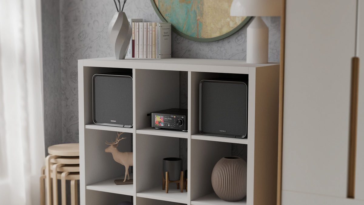Eversolo SE100 Højttaler Black - Par