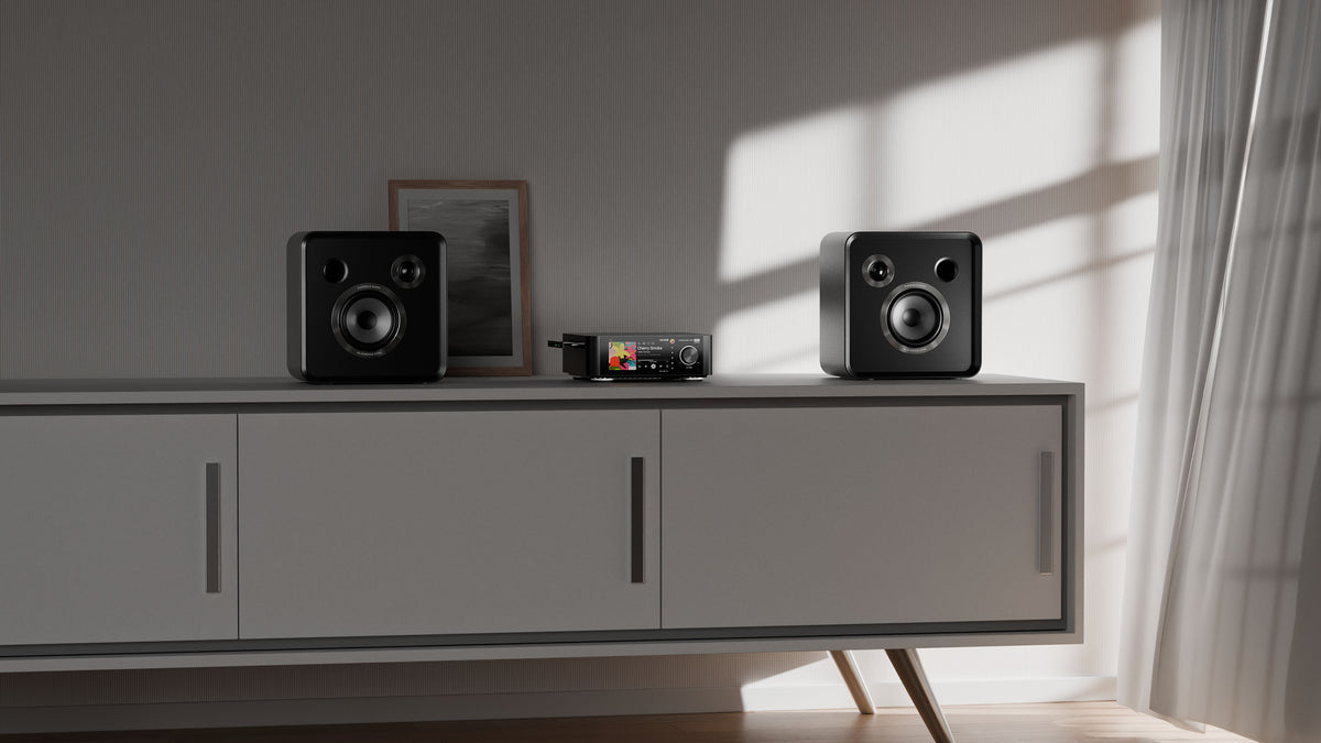 Eversolo SE100 Højttaler Black - Par