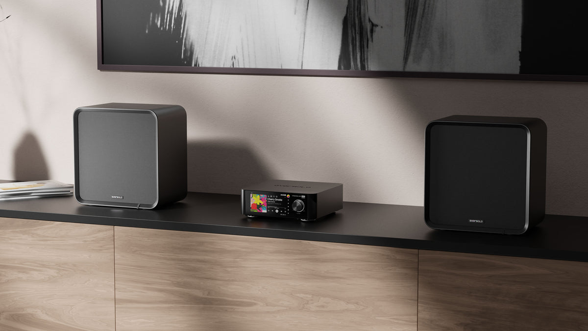Eversolo SE100 Højttaler Black - Par