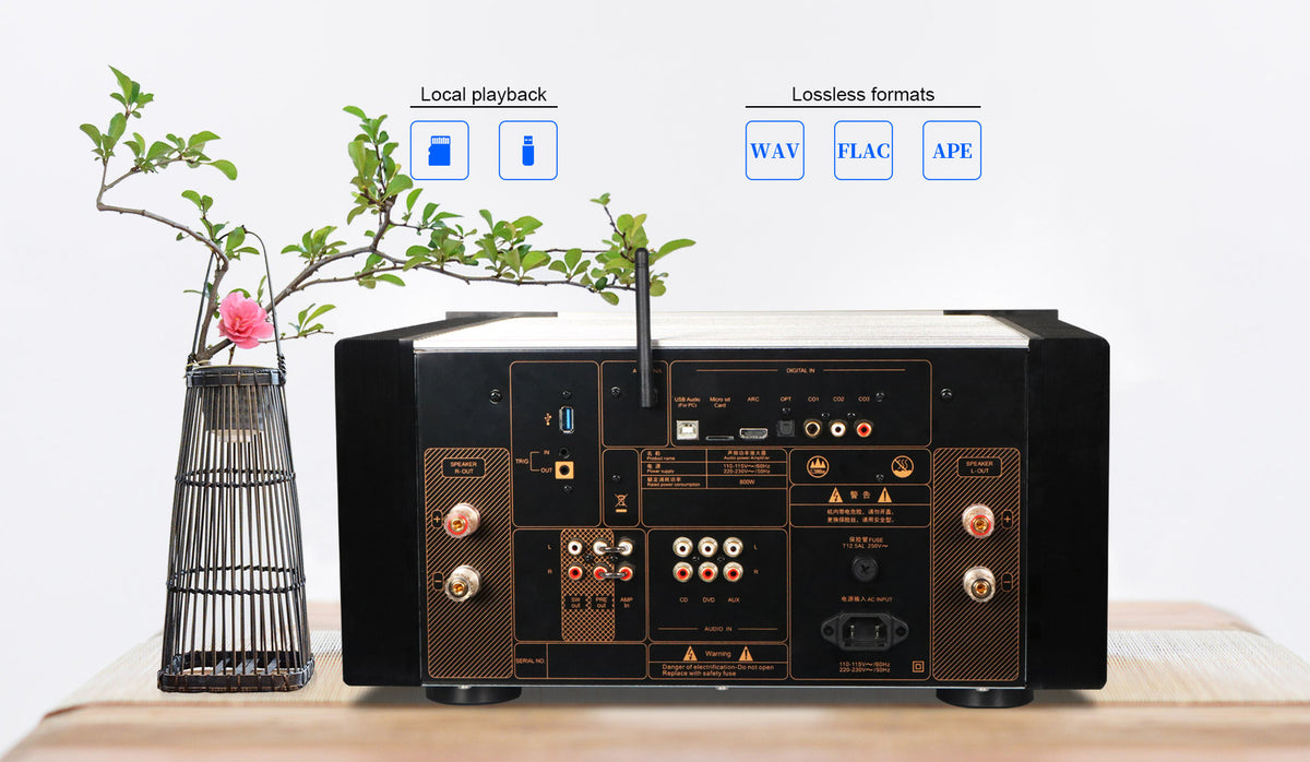 Tonewinner AD-99D