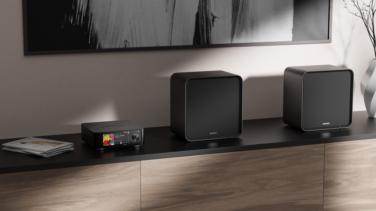 Eversolo SE100 Højttaler Black - Par