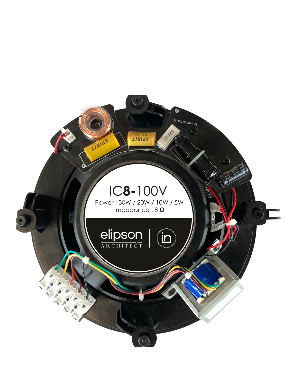 Elipson IC8 100v