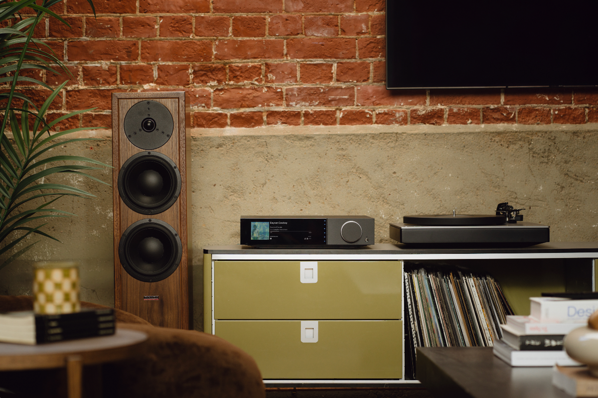 Cambridge EVO 300 Netværksreceiver