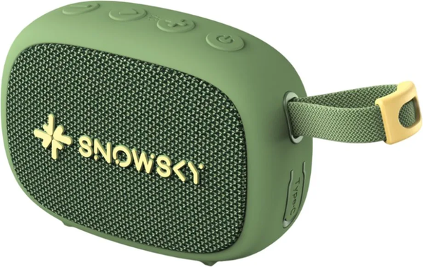 FiiO Snowsky Anywhere