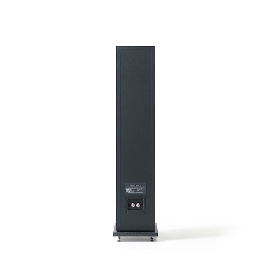 Elipson Horus 11F