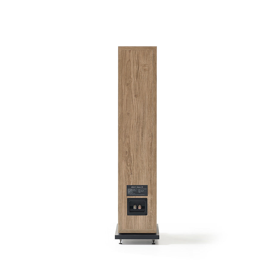 Elipson Horus 11F