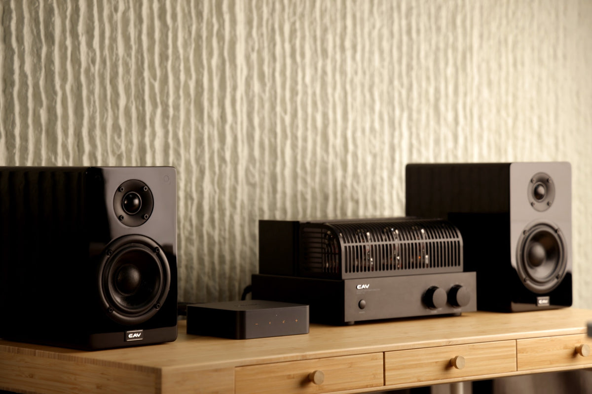 WiiM Pro Plus Multirumsmodul