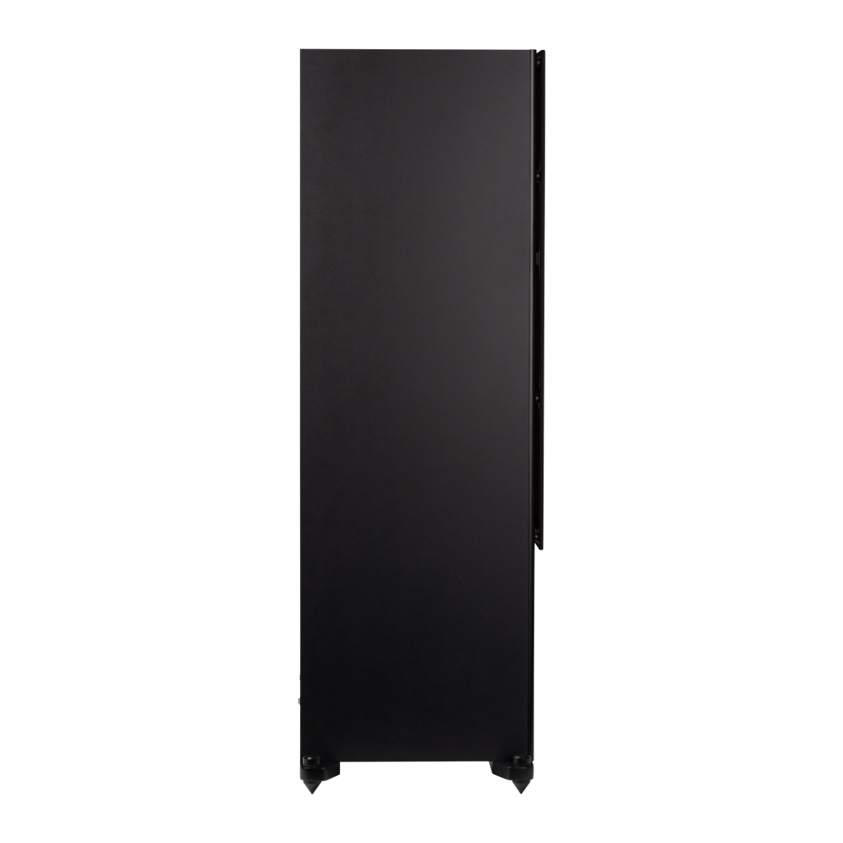 Magnat Signature 809