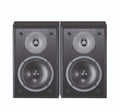 Magnat Monitor S10 B black par black