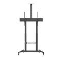 NorStone Vision Max TV Stander