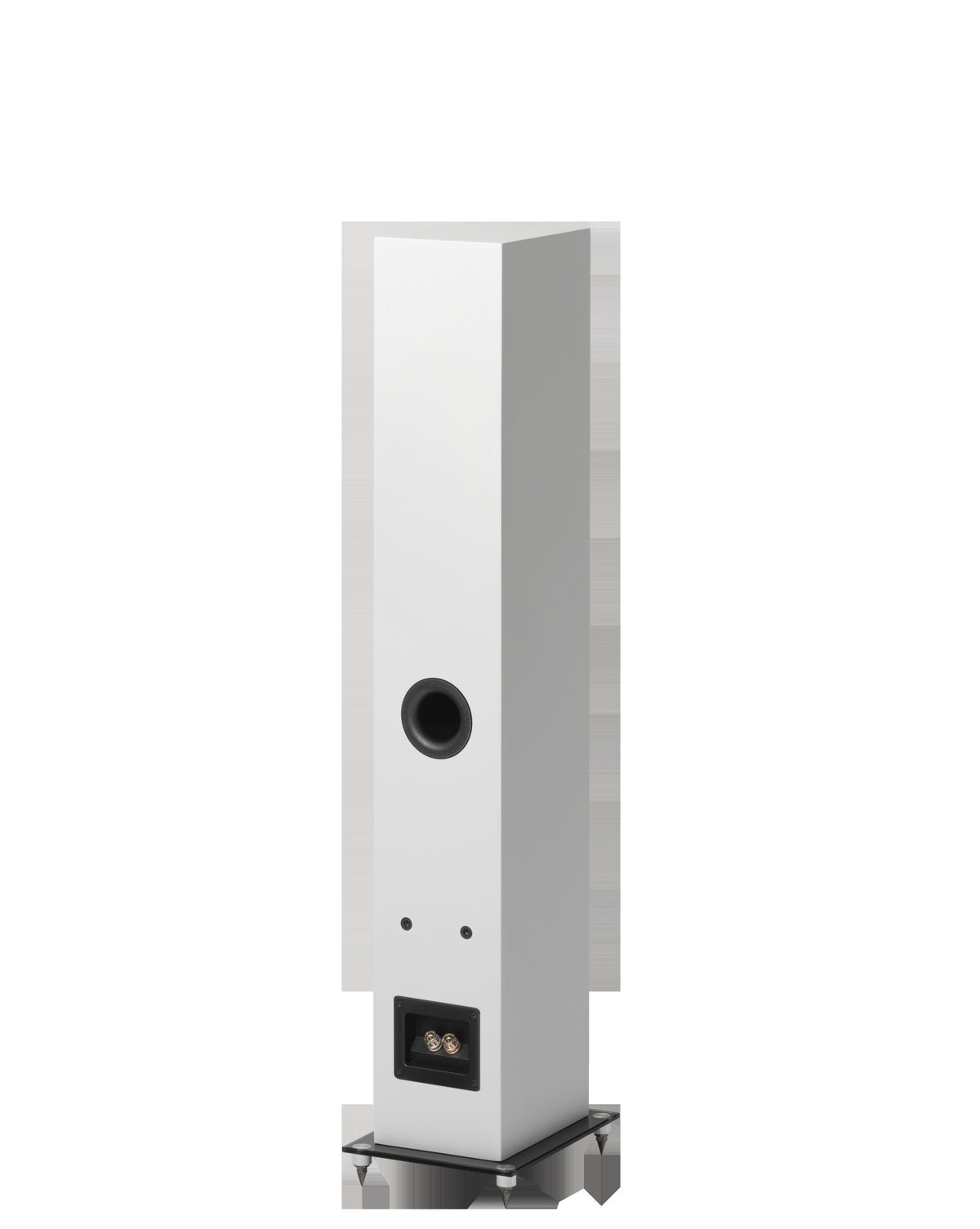 Pro-ject Speaker box 10 E Carbon Par