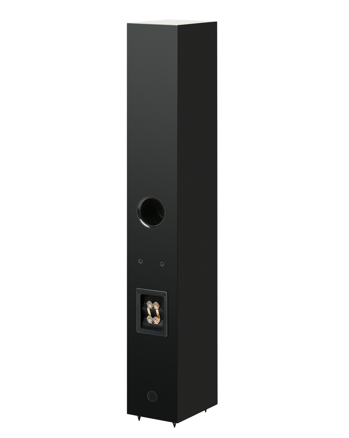 Pro-Ject Speaker Box 12 E Carbon Par