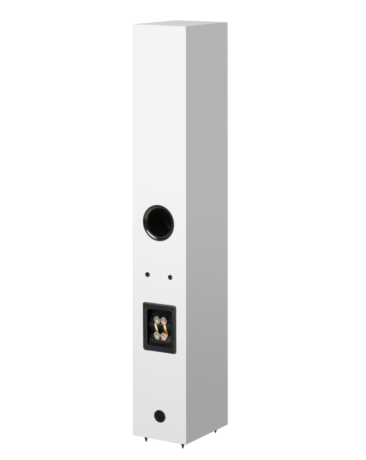 Pro-Ject Speaker Box 12 E Carbon Par