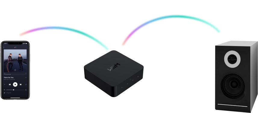 Wiim Pro Multiroom Modul