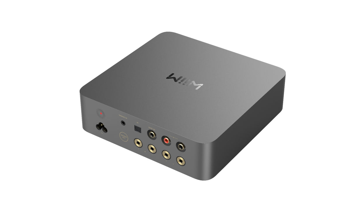 WiiM Vibelink Amp