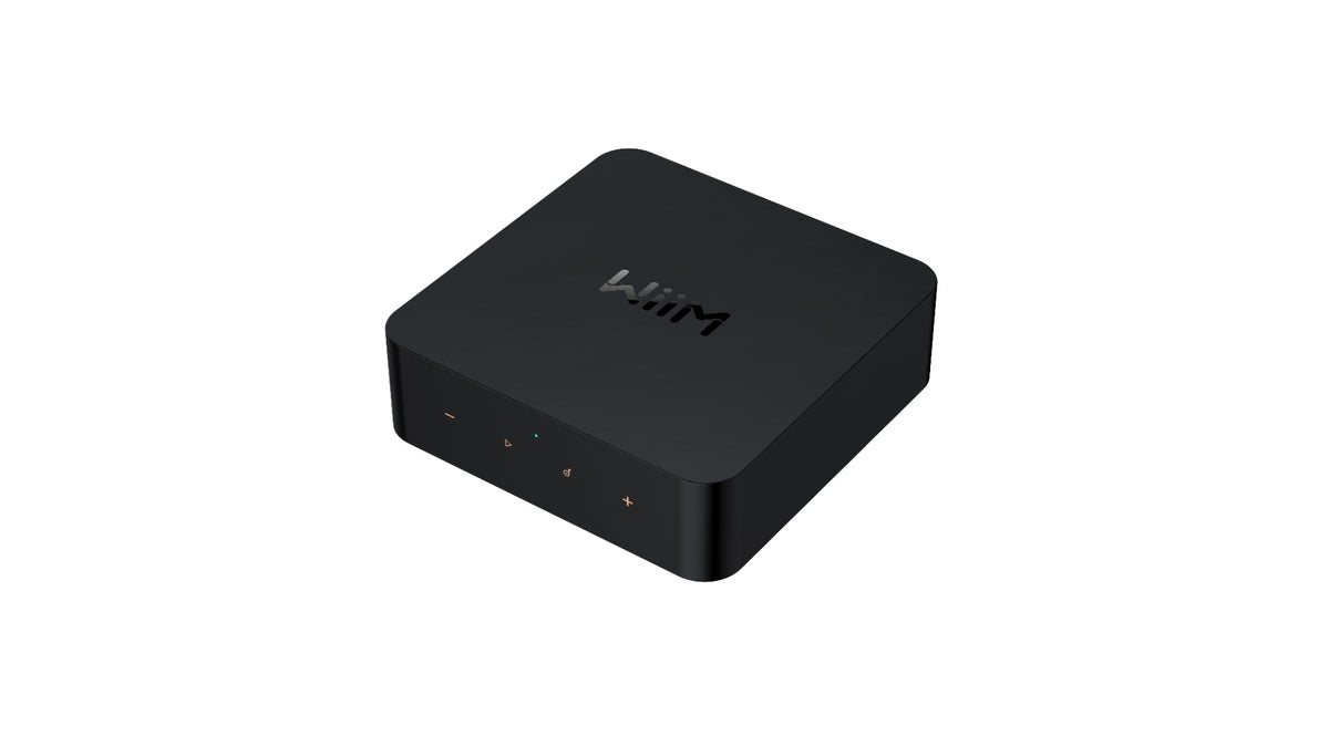 Wiim Pro Multiroom Modul