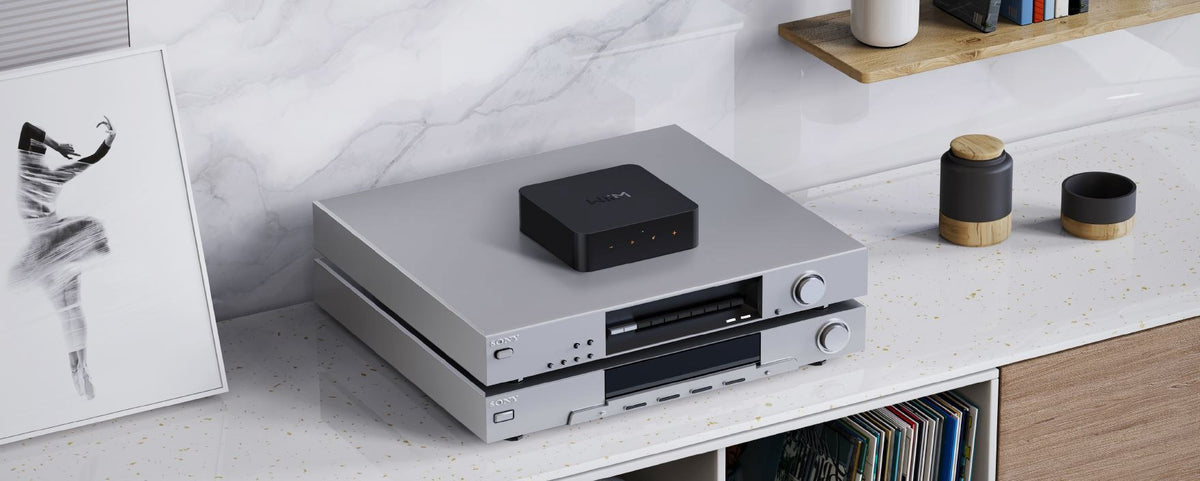 Wiim Pro Multiroom Modul