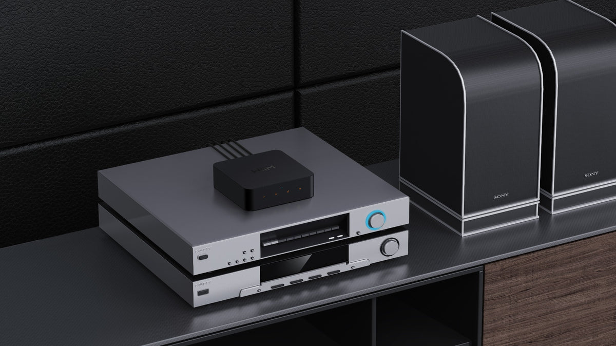 Wiim Pro Multiroom Modul