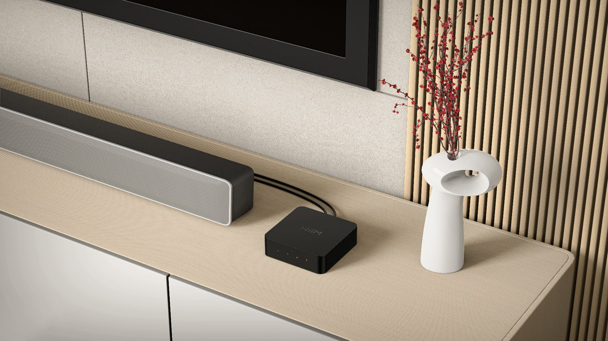 Wiim Pro Multiroom Modul