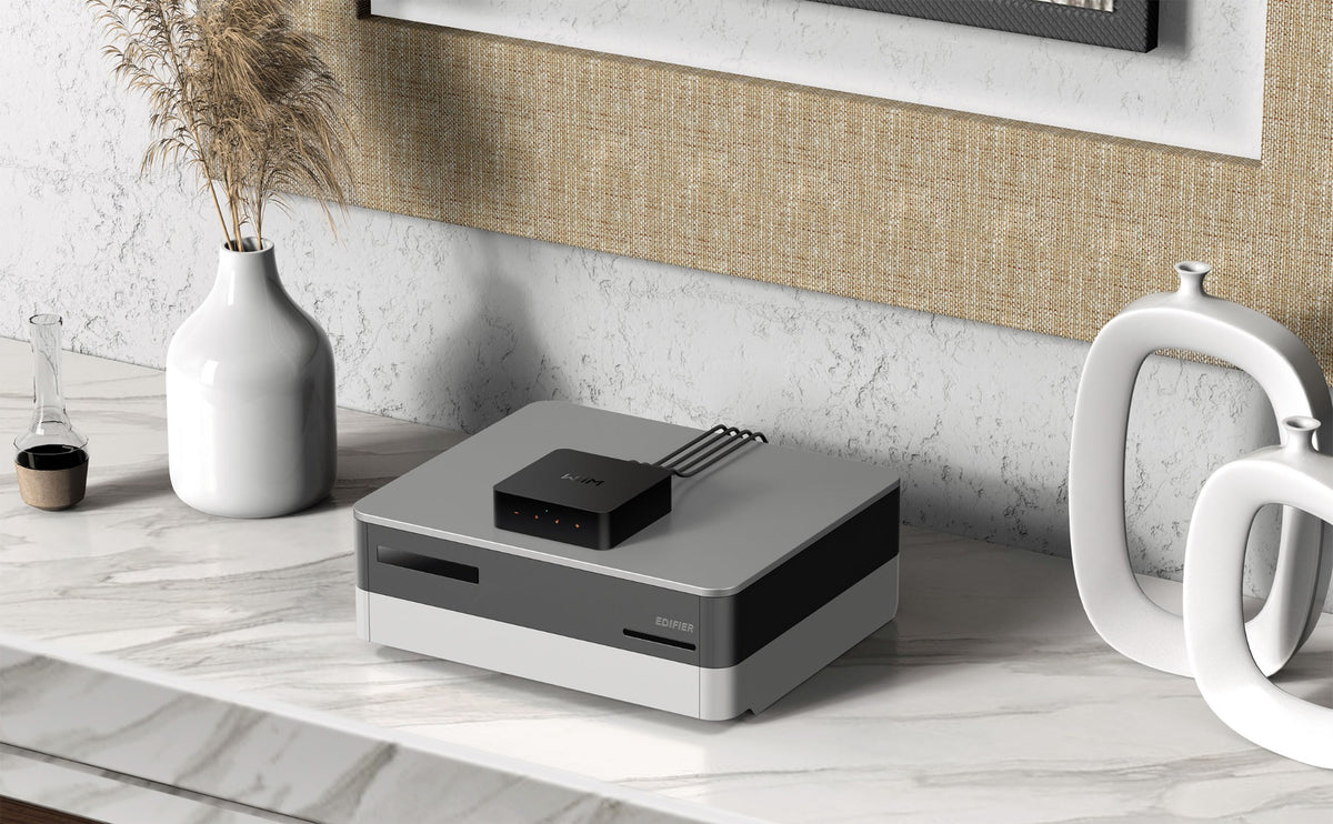 Wiim Pro Multiroom Modul